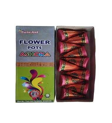 Flower Pots Asoka